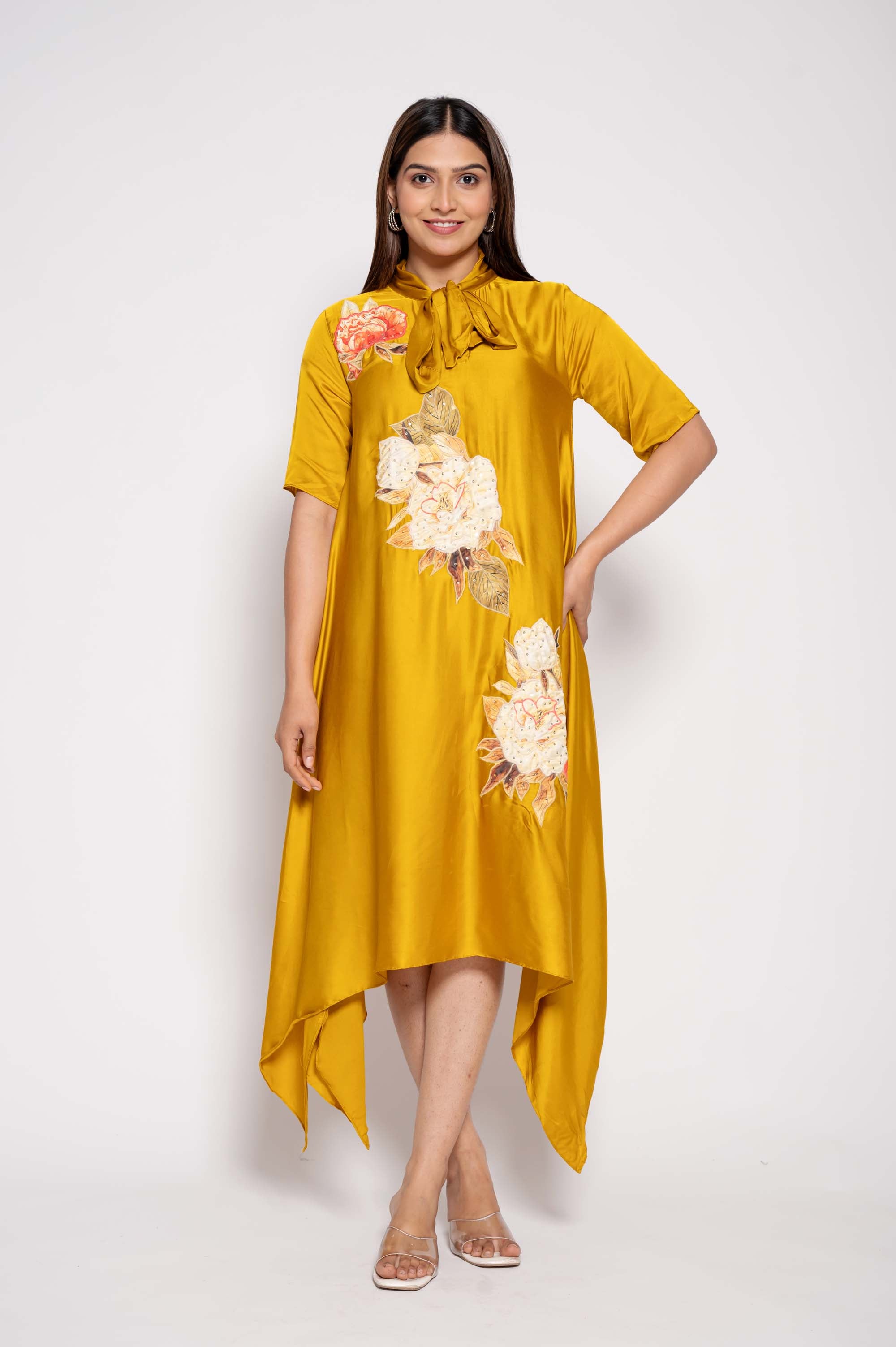 Dress with Collar Bow & Applique Work