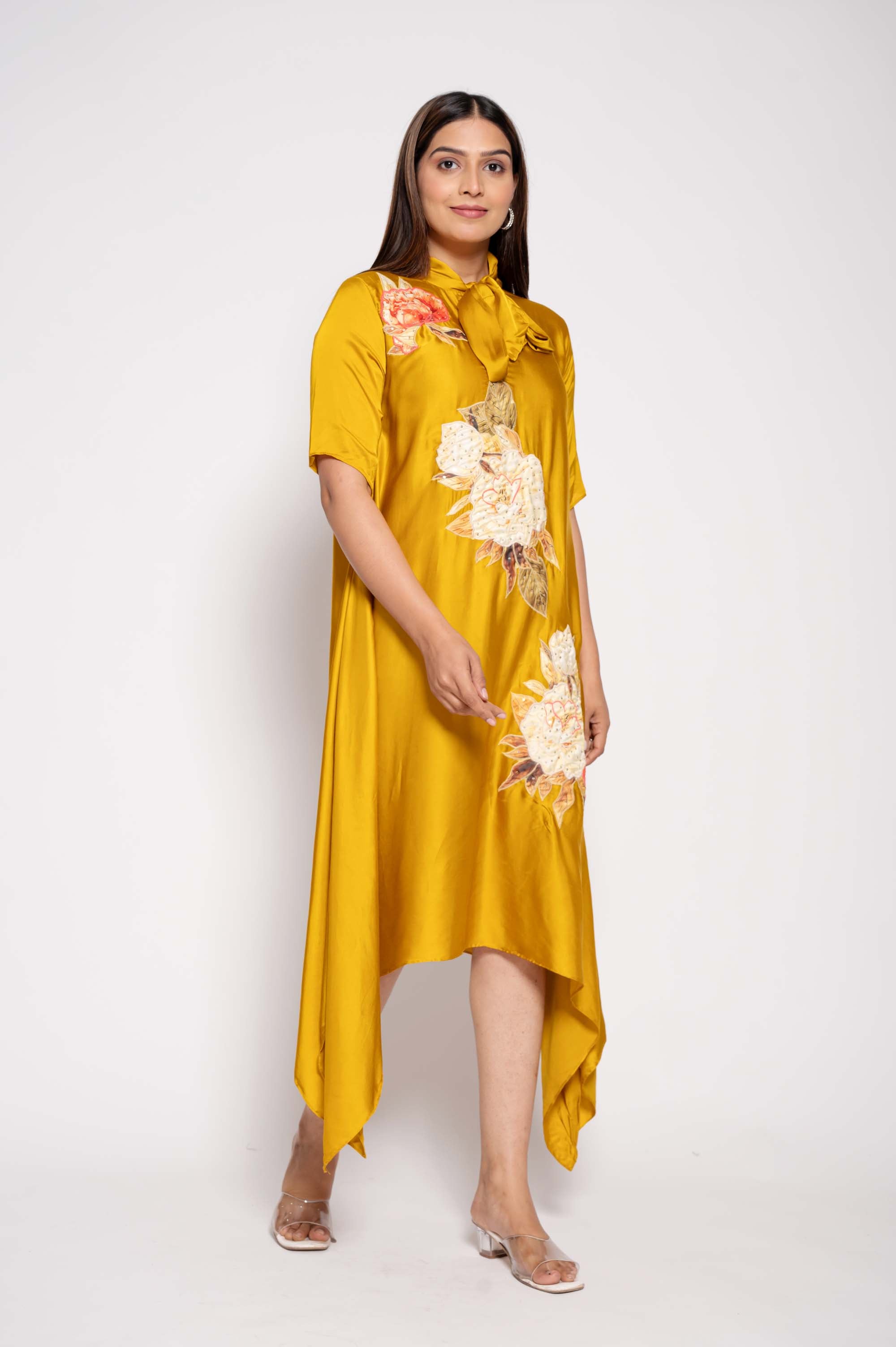 Dress with Collar Bow & Applique Work