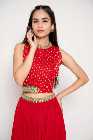 Petite Festive Lehenga Set