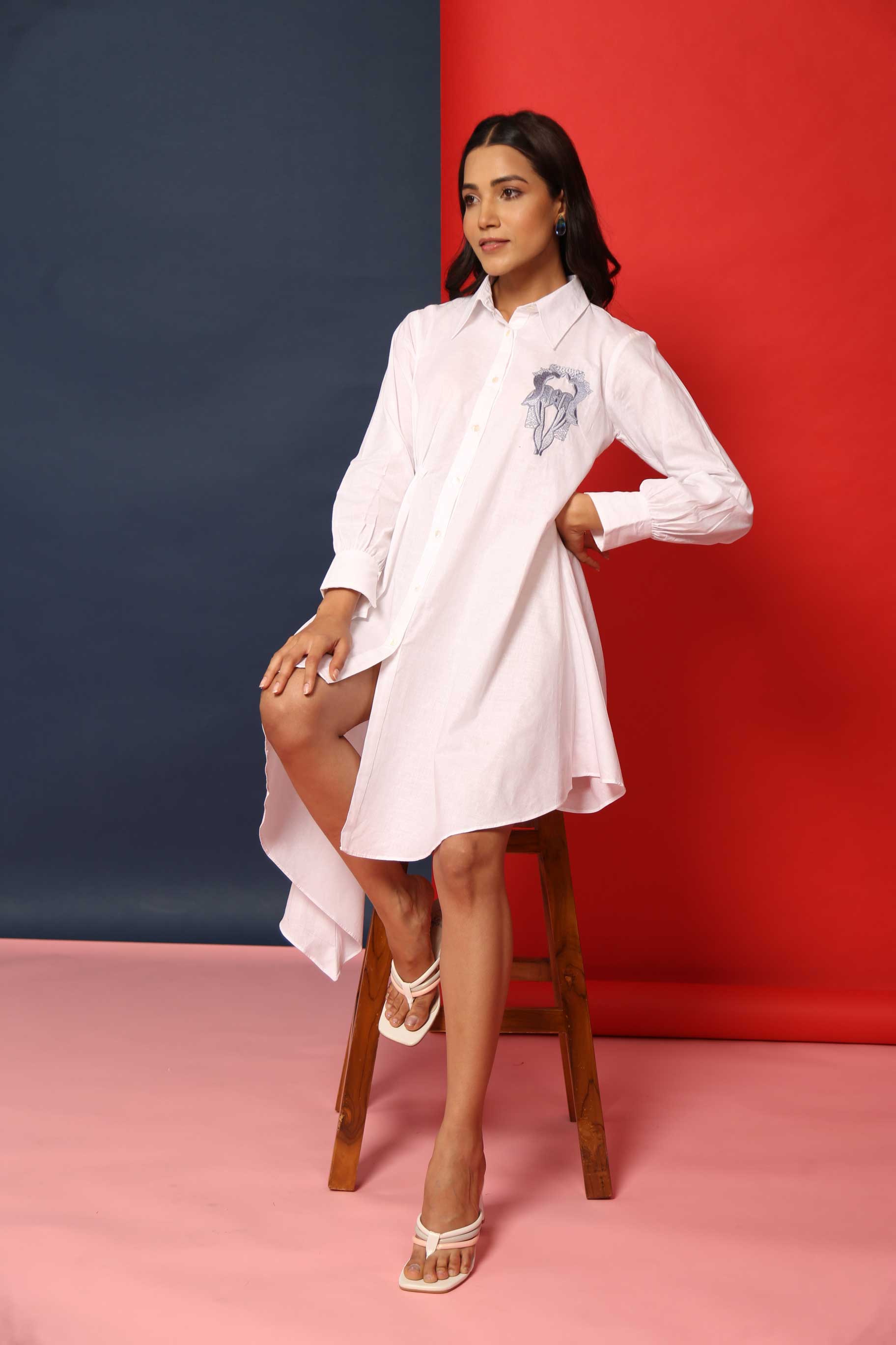 Smart n Short Full sleeves Dress