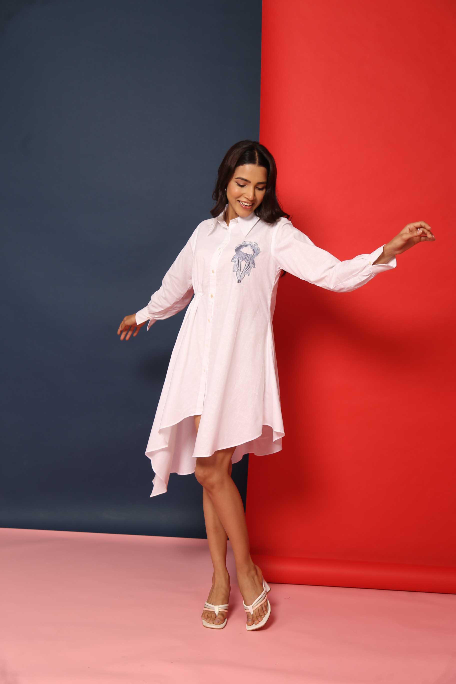 Smart n Short Full sleeves Dress