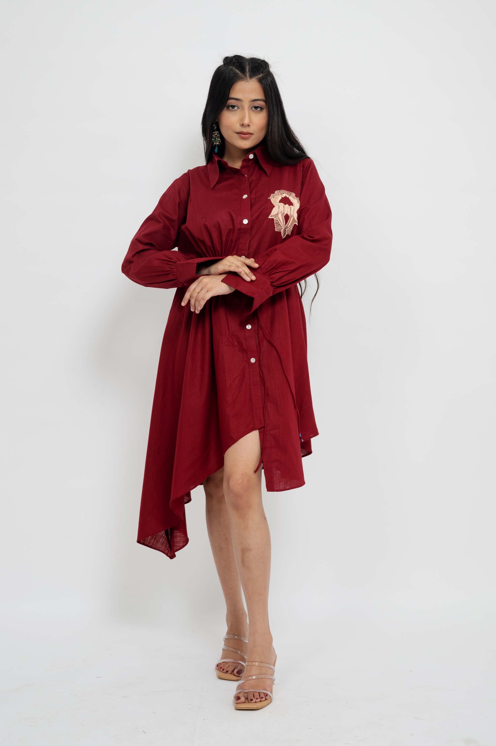 Smart n Short Full sleeves Dress